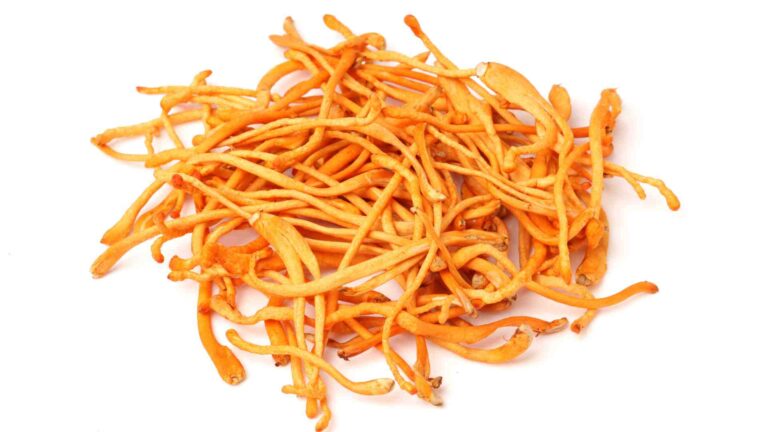 Read more about the article Cordyceps Mushroom